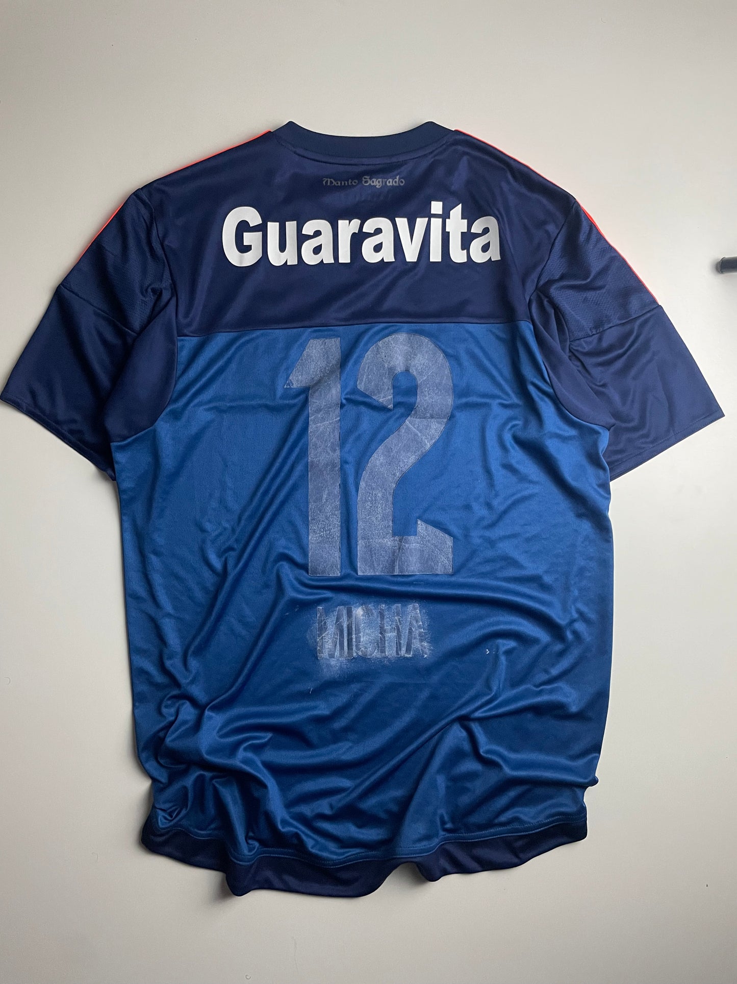 Flamengo 2015 Goleiro