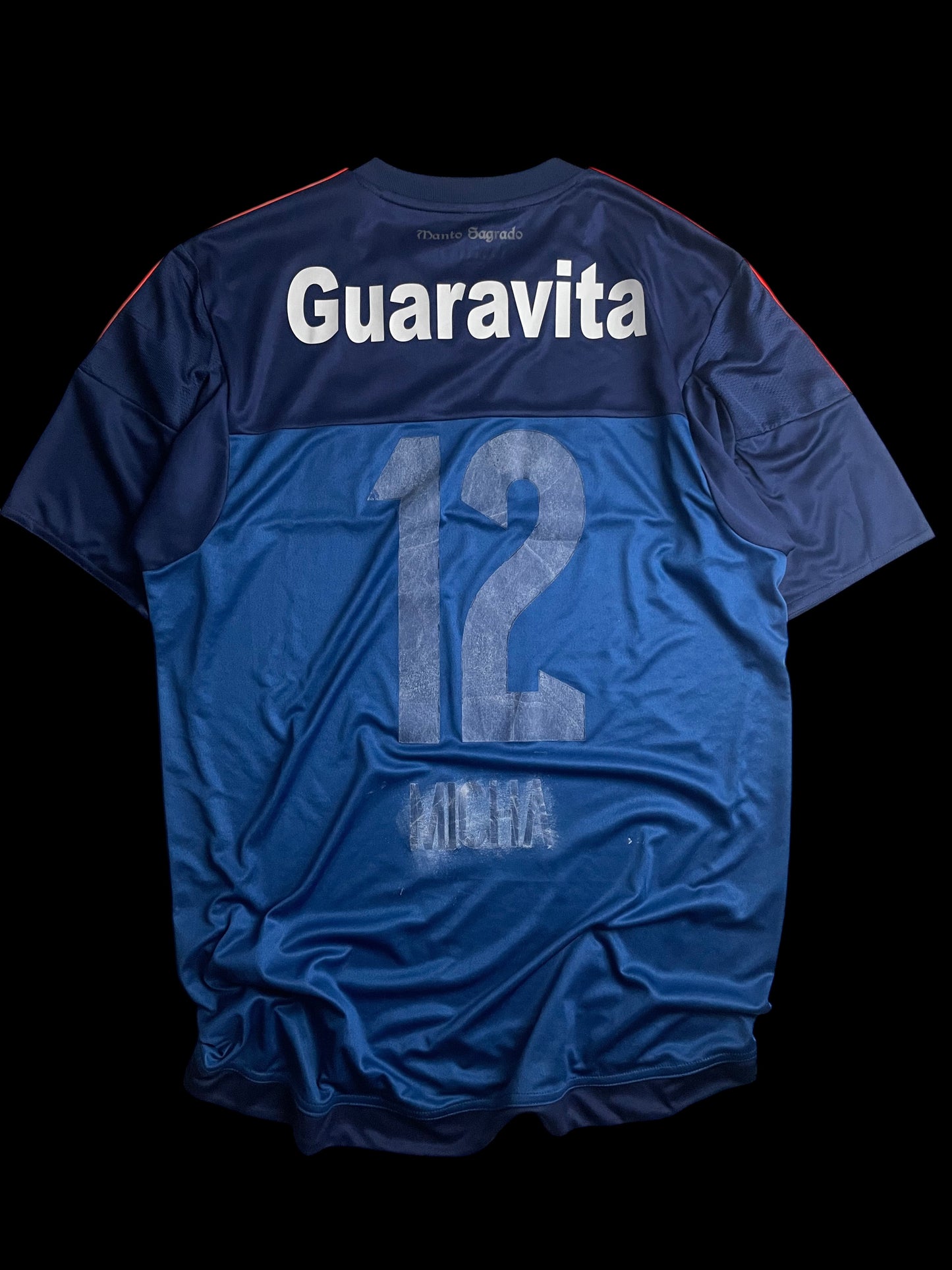 Flamengo 2015 Goleiro
