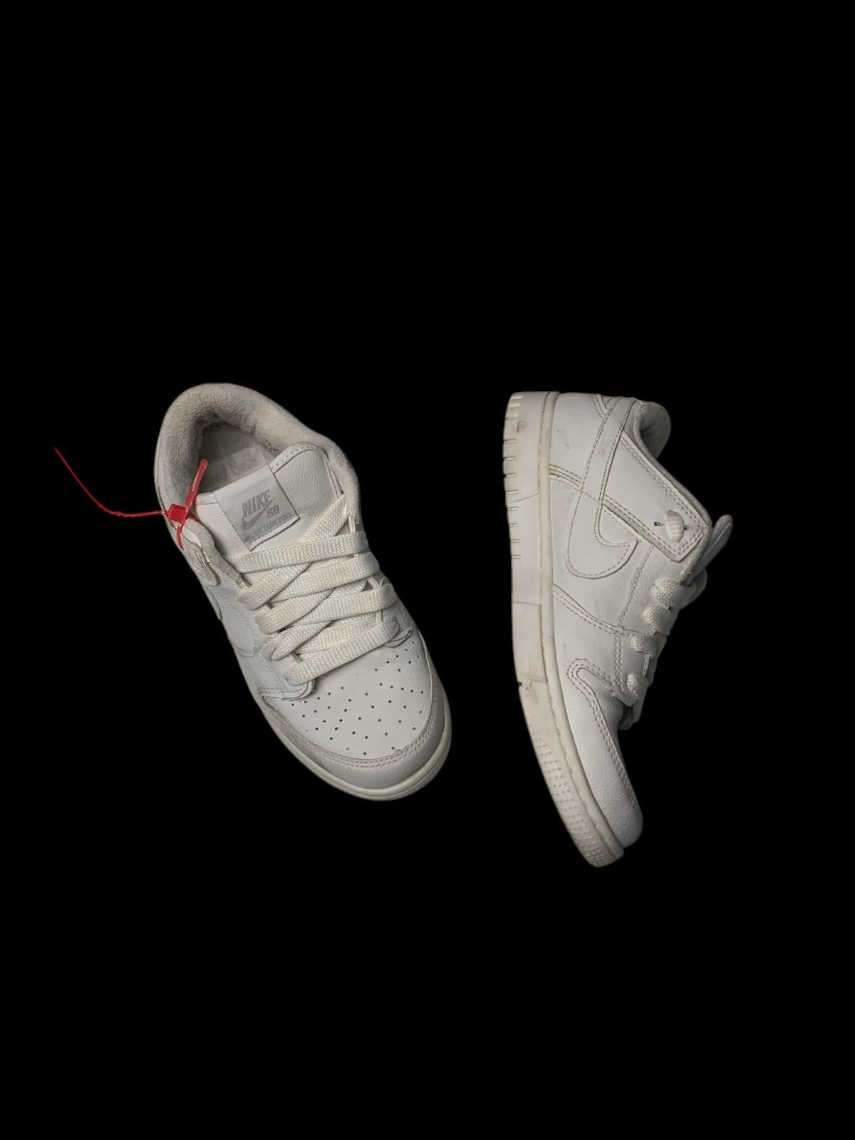 Tenis Nike Dunk