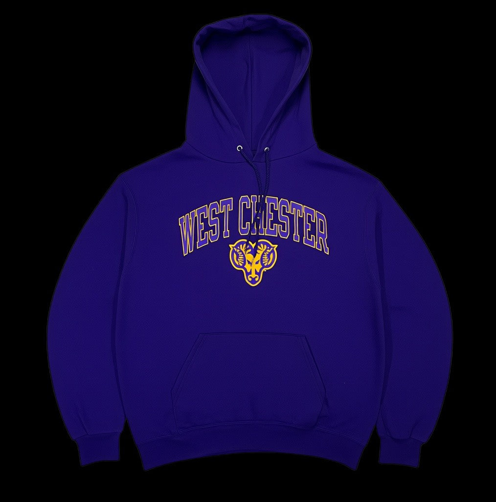 Moletom garimpo do madruga Champions West Chester roxo com estampa amarela, tamanho G, em excelente estado.